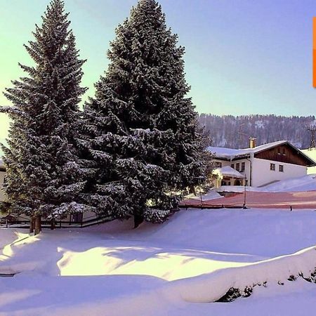 Appartement Nr 19, Alpenappartementhaus, Oberstaufen-Steibis, Allgaeu, Oberstaufen Plus Exterior photo